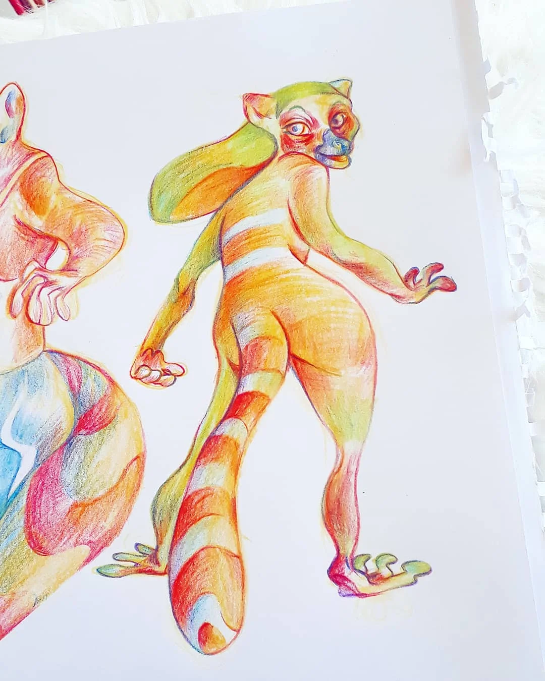 Lémuriens · Crayons de couleur
